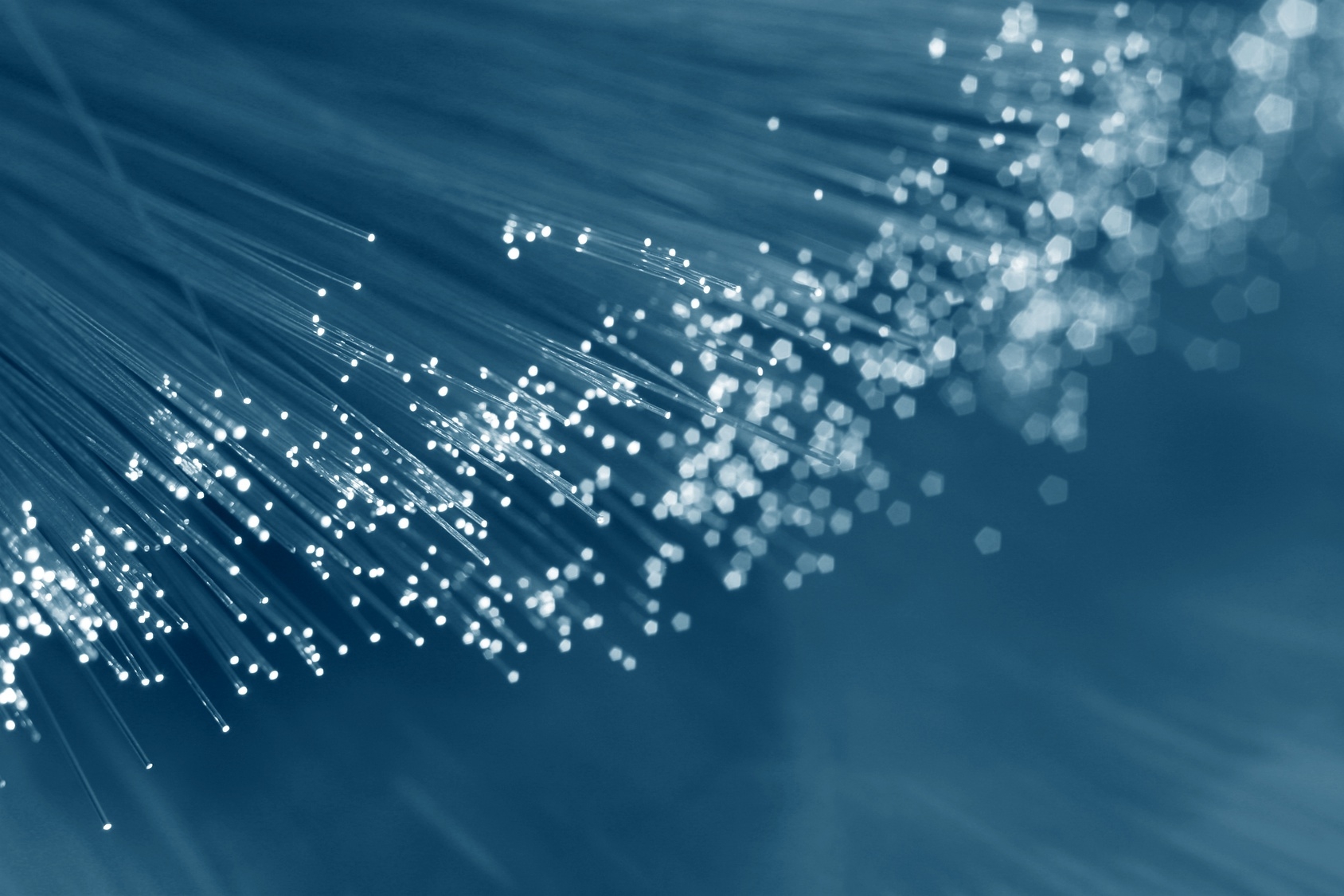 zahlreiche Glasfasern