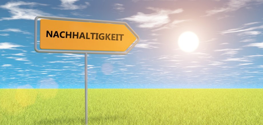 Schild Nachhaltigkeit auf Feld in der Sonne