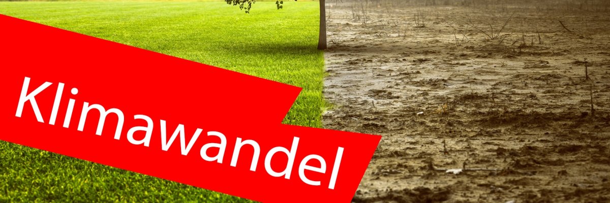 Ein Baum, der geteilt ist: die eine Hälfte ist grün, die andere Hälfte grau und tot. Im Vordergrund ein roter Balken mit der Aufschrift "Klimawandel".