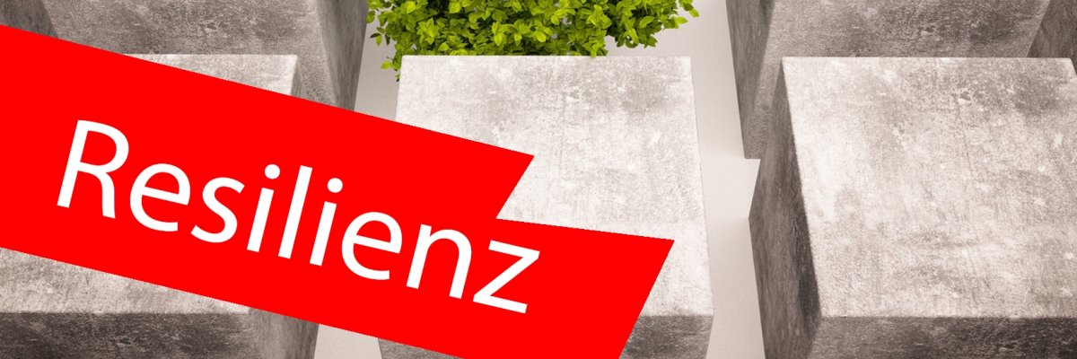 Baum wächst zwischen Häusern. Im Vordergrund ein roter Balken mit der Aufschrift "Resilienz".