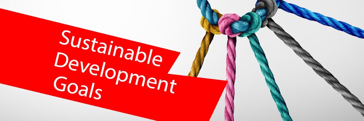 Neun bunte Seile bilden zusammen einen Kreis. Im Vordergrund ein roter Balken mit der Aufschrift "Sustainable Development Goal". Neun bunte Seile bilden zusammen einen Kreis. Im Vordergrund ein roter Balken mit der Aufschrift "Sustainable Development Goal".